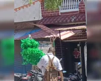 बीयूएमएस डिग्री के सहारे अवैध क्लीनिक संचालन का आरोप