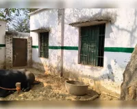 विद्यालय में अतिक्रमण को लेकर सीएम पोर्टल पर दर्ज करायी शिकायत