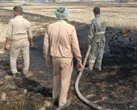 आगजनी से फसल जलकर हुई राख
