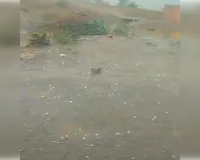 भीषण गर्मी के बीच कई इलाकों में गिरे बर्फ के छोटे-छोटे ओले, मौसम हुआ सुहाना