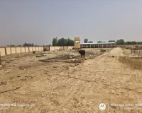नवनिर्मित कान्हा गौशाला में गौवंशों की दुर्दशा का अध्याय शुरू