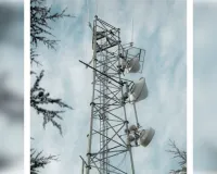 निलंबन से आहत अवर अभियंता मोबाइल टावर पर चढ़े