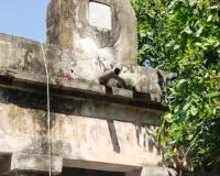 संस्कृत महाविद्यालयों में फर्जी नियुक्ति को लेकर मचा हुआ है बवाल। 