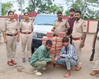 अररिया में शराब तस्करी नाकाम: सफारी से 126 लीटर बीयर बरामद, दो गिरफ्तार