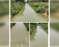 खबर को संज्ञान में लेते हुए नहर में छोड़ा गया पानी पशु पक्षी करो ग्रामीण क्षेत्र में अब नहीं होगा
