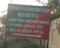 मरहा-करचौलिया में सागौन के पेड़ों की हुई थी अवैध कटान, 10 दिन बाद भी नहीं हुई कोई कार्रवाई