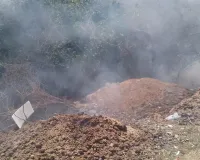 सफाई कर्मियों की लापरवाही से कूड़े में लगी आग