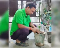 मदर्स डे पर एक पौध मां के नाम के रूप में ग्रीन गुरु जी ने किया फाईकस के पौध का रोपण