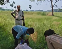 एकमा में नाबालिग से सामूहिक दुष्कर्म, तीन आरोपियों के विरुद्ध प्राथमिकी दर्ज, एक आरोपी हिरासत में; मामले के उद्भेदन हेतु एसआईटी गठित
