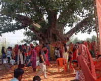 अखंड सौभाग्यवती, पति की लंबी आयु व उत्तम स्वास्थ्य को लेकर सनातनी महिलाओं ने वट सावित्री व्रत का किया पूजन