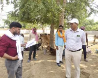 सीडीओ ने गौशालाओं का किया निरीक्षण, लू से बचाव के दिए निर्देश