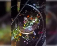 गड्ढे में तब्दील है कोटार नाथ धाम का रास्ता पीडब्ल्यूडी से बनी है सड़क नहीं हुआ सड़क का मरम्मत कई वर्षों से गड्ढे में है तब्दील।