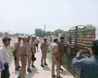 जमीन बंटवारे के विवाद में भाई ने भाई की कुल्हाड़ी से काटकर की हत्या, पत्नी घायल