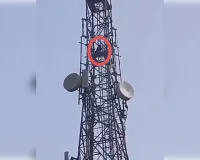मोबाइल टावर पर चढ़कर हंगामा करना पड़ा भारी