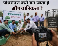 रस्मअदायगी नहीं, जिम्मेदारी: भीषण गर्मी में पौधारोपण क्यों बन जाता है औपचारिकता?