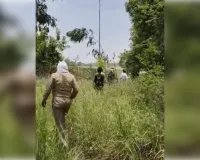 महाराज पुर थाना क्षेत्र में तेंदुए के देखें जाने से ग्रामीणों में दहशत का माहौल