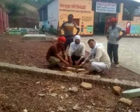 विश्व पर्यावरण दिवस पर ग्राम प्रधान ने किया पौधरोपण।