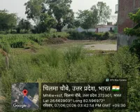 तिन्ना से पटा तलाब में 194 की लग रही फर्जी हाजिरी धरातल की स्थित जस का तस