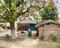 चकबंदी अधिकारियों की मनमानी, दलित परिवार के आशियाने को ही वृक्षारोपण के लिए किया चयनित 