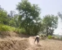 भ्रष्टाचार रोकने में मुख्य विकास अधिकारी नाकाम धरातल पर 10 मजदूर, कागजों में 61 की हाजिरी गोरखर में मनरेगा कार्य की खुली रही पोल