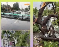 तेज आंधी और बारिश से बस्ती में मचा हड़कंप, कई जगह गिरे पेड़ और यूनीपोल, सीआरओ ने संभाली राहत कार्यों की कमान