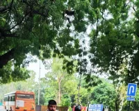 शहर में ओवर स्पीड  297 वाहनों के चालान 