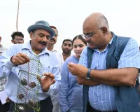 अब कानपुर के खेतों, तालाबों में खिल रहे हैं मोती 