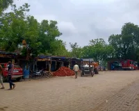 पडा़व की सरकारी जमीन पर किया गया है अवैध कब्जा।