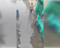 चक फैजुल्ला मोहल्ले में जलभराव से जनजीवन प्रभावित,बीमारियों का बढ़ा खतरा