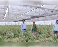 MIDH योजना से बदली किसान रामजनम वर्मा की तकदीर, नेट हाउस-पॉली हाउस खेती से पहला चक्र में ही 3.60 लाख की शुद्ध आय
