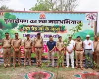 एक पेड़ माँ के नाम
