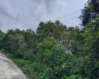 मौत को दावत दे रहे बिजली के तार, जमीन से महज 7 फीट ऊपर लटके तार
