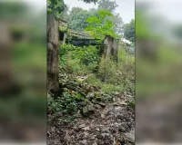 विकासखंड भदपुरा में आवासीय कॉलोनी पड़ी खंडहर 