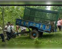 बाघ ने वनविभाग की टीम को खूब दिया चकमा बदला स्थान 