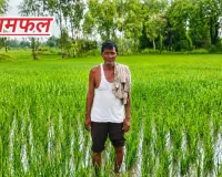 बरखा बनी किसानों के लिए वरदान: झमाझम बारिश से खेतों में लौटी हरियाली, उम्मीदों को मिले नए पंख