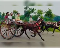 सावन के दूसरे सोमवार पर ऐतिहासिक 'गहरेबाजी'