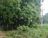 हरीश द्विवेदी को राष्ट्रीय महामंत्री बनाए जाने पर बस्ती भाजपा में उत्साह, जिला कार्यालय पर मनाया जश्न