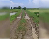 ददरी पहरी में बदहाल सड़क से ग्रामीण बेहाल, काशी प्रसाद पटेल के घर के पास आवागमन ठप