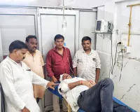 बारावफात के जुलूस में बेकाबू घोड़े का कहर,कई दर्जन लोग घायल