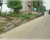 डीएम के आदेशों को ठेंगा दिखा रही अकबरपुर नगर पालिका, शहर में गंदगी और झाड़ियों का बोलबाला