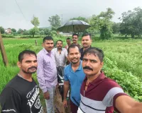 महुगड़ी में जंगली हाथी का आतंक, खेतों में रौंदी फसलें; वन विभाग की टीम रेस्क्यू में जुटी, ग्रामीणों में दहशत