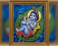 जन्माष्टमी महोत्सव हर्षोल्लासपूर्ण मनाने की हो रही मनोयोगपूर्वक तैयारी