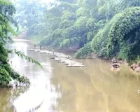 श्रीभूमि जिले के चेरागी रेंज में लंबे समय से खुलेआम बांस तस्करी का आरोप, वनकर्मियों की भूमिका पर उठे सवाल