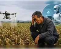 खेती चौपट: AI के गलत मशवरे से फसलें बर्बाद