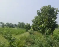 बर्डपुर ब्लाक में  वीबी - जी राम जी योजना में कथित अनियमितता की शिकायत, जांच की मांग