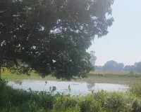 सिद्धार्थनगर :  वीबी - जी राम जी योजना (ग्रामीण) में अधिकारी बने ठीकेदार तो कैसे हो जांच