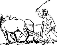 भारतीय किसान की दशा और दिशा .....