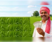 दीपावली से पहले किसानों को सम्मान निधि की 24वीं किस्त, 9.34 करोड़ खातों में पहुंचे 18,690 करोड़ रुपये
