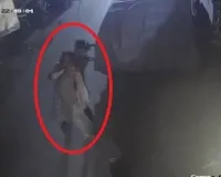 स्कूटी में टक्कर मारकर महिला के गले से चेन लूटी, 90 CCTV से खुला राज; मंदिर जा रहे रिटायर्ड अफसर को गिराकर भागे थे लुटेरे