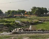 रेंजर बोले- भूमि खाली कराकर बड़े पैमाने पर कराया जाए पौधरोपण